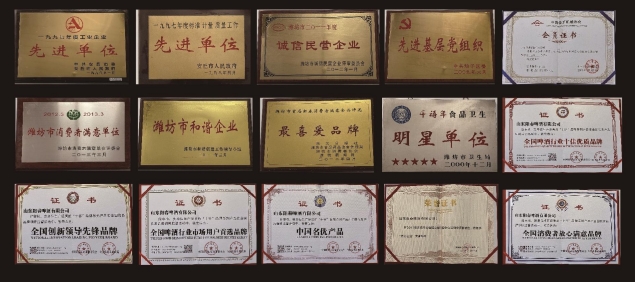 1028-企业篇-休戚相关三十载，，，，，睿智传承立异篇41资质声誉.png